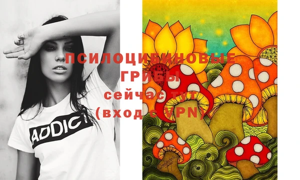 PSILOCYBIN Беломорск