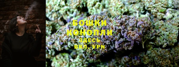PSILOCYBIN Беломорск