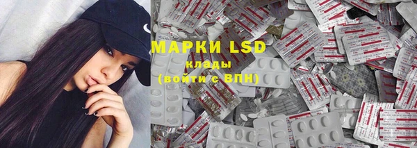 PSILOCYBIN Беломорск