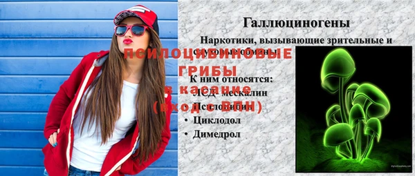 ешки Белоозёрский