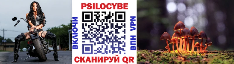 Псилоцибиновые грибы Psilocybine cubensis  Полесск 