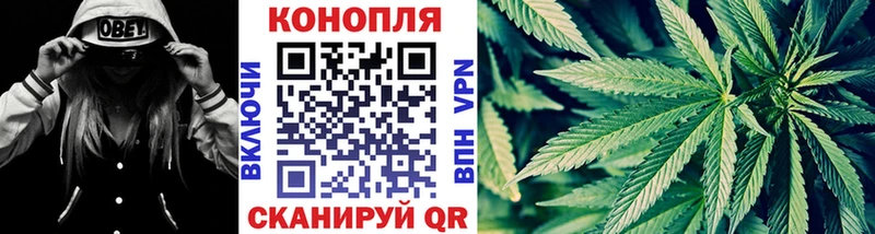 Бошки марихуана тримм  где купить наркоту  Полесск 